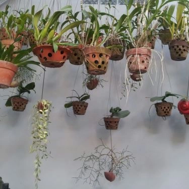 Tổng hợp- Ta Ta - Quán Ăn Gia Đình