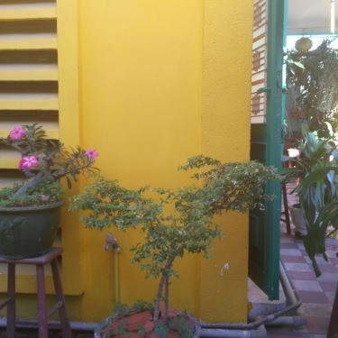 Tổng hợp- Quán Ăn Tiệm Cà Phê Hoa Giấy