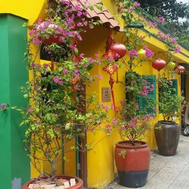Tổng hợp- Quán Ăn Tiệm Cà Phê Hoa Giấy