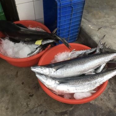 Tổng hợp- Quán Ăn Tiệm Cơm Việt Nam