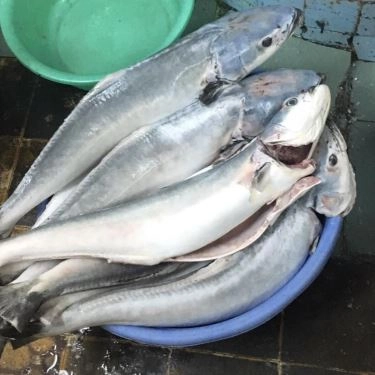 Tổng hợp- Quán Ăn Tiệm Cơm Việt Nam