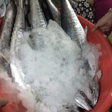 Tổng hợp- Quán Ăn Tiệm Cơm Việt Nam