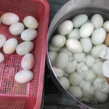 Tổng hợp- Quán Ăn Tiệm Cơm Việt Nam