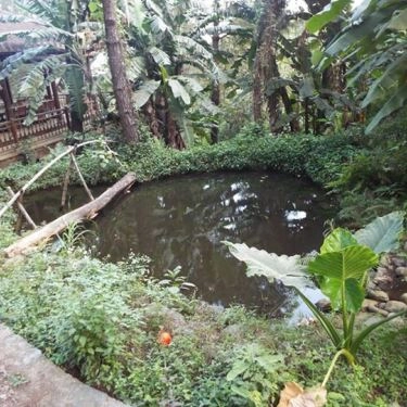 Tổng hợp- Quán Ăn Mekong Rest Stop - Hải Vân