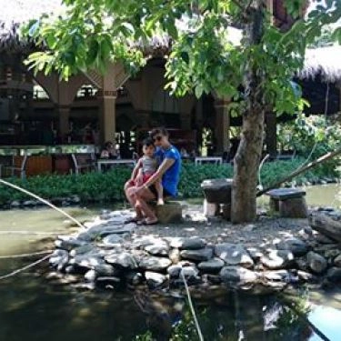 Tổng hợp- Quán Ăn Mekong Rest Stop - Hải Vân