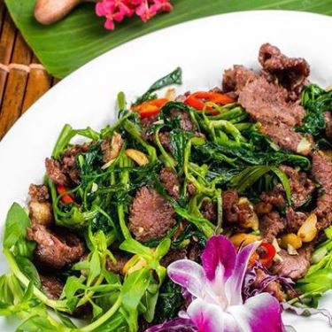 Tổng hợp- Quán Ăn Trâu Giật Kinh Bắc