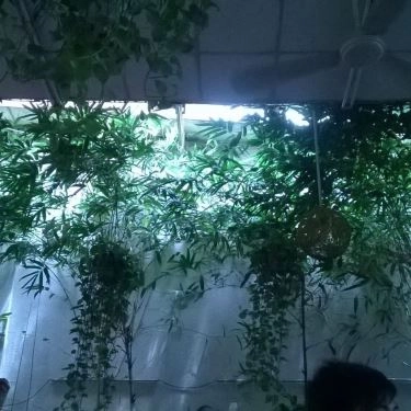 Tổng hợp- Quán Ăn Tre Vàng - Quán Nhậu Sân Vườn