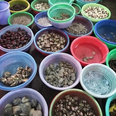 Tổng hợp- Quán Ăn Tư Mập - Hải Sản Tươi Sống