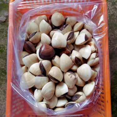 Tổng hợp- Quán Ăn Tư Nhớ 11 - Hải Sản Tươi Sống