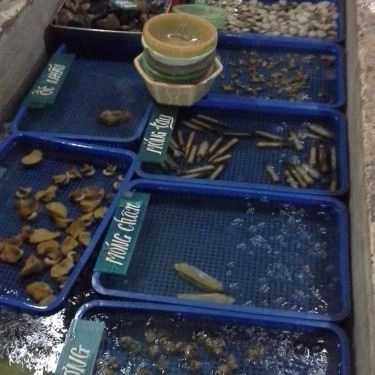 Tổng hợp- Quán Ăn Tư Ốc Lầu - Ung Văn Khiêm