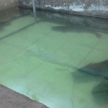 Tổng hợp- Quán Ăn Tư Ốc Lầu - Ung Văn Khiêm