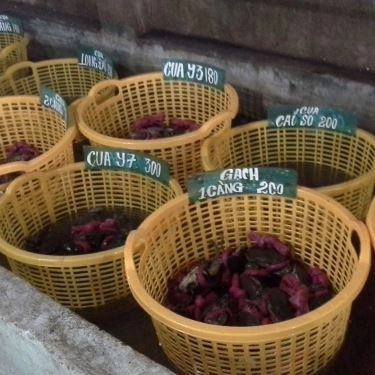 Tổng hợp- Quán Ăn Tư Ốc Lầu - Ung Văn Khiêm