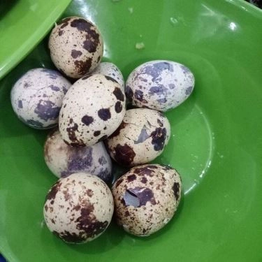 Tổng hợp- Quán Ăn Tuyến - Ốc Các Loại