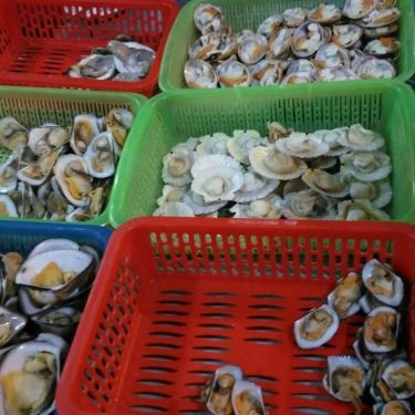 Tổng hợp- Quán Ăn Tuyết - Quán Ốc 30K