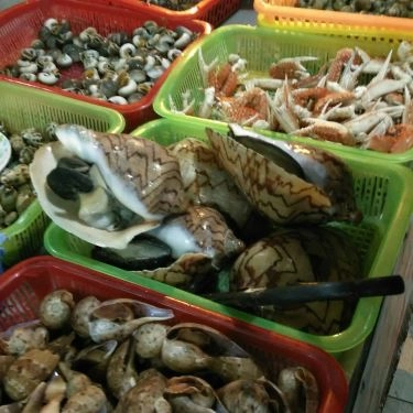 Tổng hợp- Quán Ăn Tuyết - Quán Ốc 30K