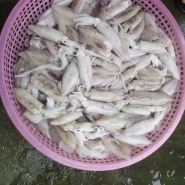 Tổng hợp- Quán Ăn Tuyết Thảo - Bún Hải Sản