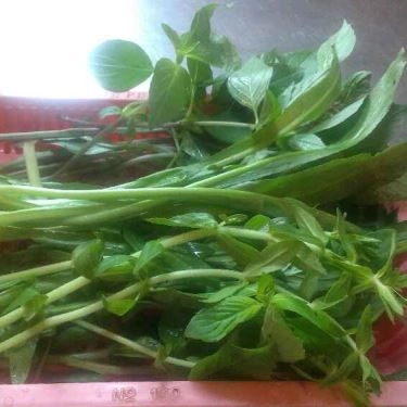 Món ăn- Quán Ăn Út Hương - Hủ Tiếu Mì, Bò Kho, Tái Nạm Gầu Gân