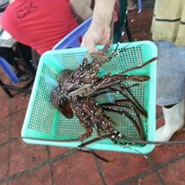 Tổng hợp- Quán Ăn Út Liên 1 - Ốc & Hải Sản