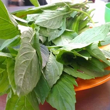 Món ăn- Quán Ăn Út Nhung - Phở & Bò Kho