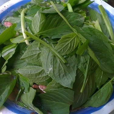 Món ăn- Quán Ăn Út Nhung - Phở & Bò Kho