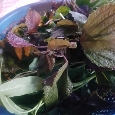 Tổng hợp- Quán Ăn Văn Nghệ - Quán Bánh Khọt