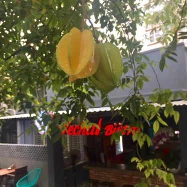 Tổng hợp- Quán Ăn Vechai Bistro - Food & Drink