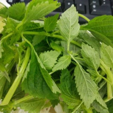 Tổng hợp- Quán Ăn Việt Còi - Bún Đậu Sạch