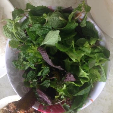 Tổng hợp- Quán Ăn Việt Tiến Quán - Bún, Phở, Sinh Tố Các Loại