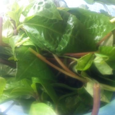 Món ăn- Quán Ăn Việt Trinh - Chuyên Lẩu Vịt