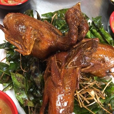 Món ăn- Quán Ăn Vinh Hói Quán 43 - Lẩu Bò Nhúng Dấm