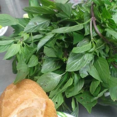 Món ăn- Quán Ăn Vĩnh Lợi - Phở Bò, Bò Kho