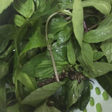 Tổng hợp- Quán Ăn Vịt 29 - Thái Hà
