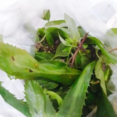 Tổng hợp- Quán Ăn Vịt 29 - Thái Hà