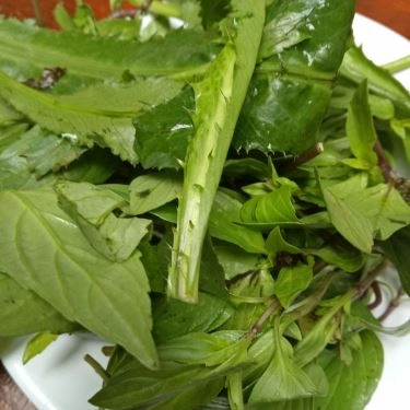Tổng hợp- Quán Ăn Vịt Quán