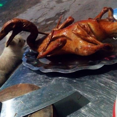 Món ăn- Quán Ăn Vịt Quay Dế Mèn