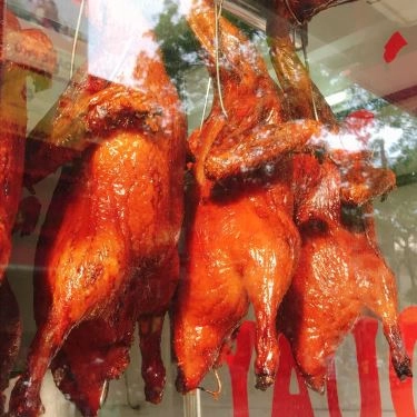 Món ăn- Quán Ăn Vịt Quay Quảng Đông - Thái Thịnh
