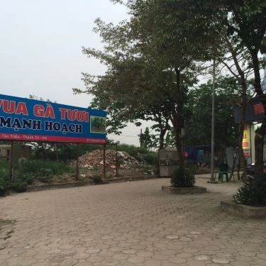 Tổng hợp- Quán Ăn Vua Gà Tươi Mạnh Hoạch - Tân Triều