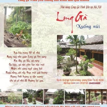 Tổng hợp- Quán Ăn Vườn Ẩm Thực Long Gà - An Dương