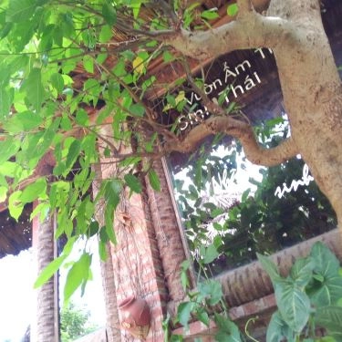 Tổng hợp- Quán Ăn Vườn Ẩm Thực Long Gà - An Dương