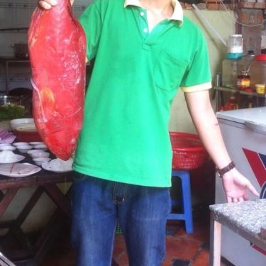 Tổng hợp- Quán Ăn Vườn Ẩm Thực Rồng Xanh