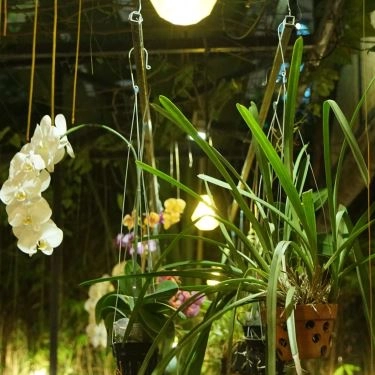 Tổng hợp- Nhà Hàng Vườn Bia Restaurant - Các Món Nhậu