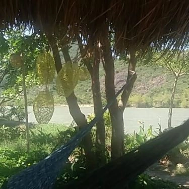 Tổng hợp- Quán Ăn Vườn Chim Ao Cá - Câu Cá Giải Trí