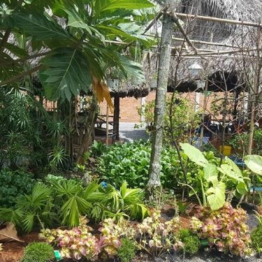 Tổng hợp- Vườn Măng - Quán Ăn Gia Đình