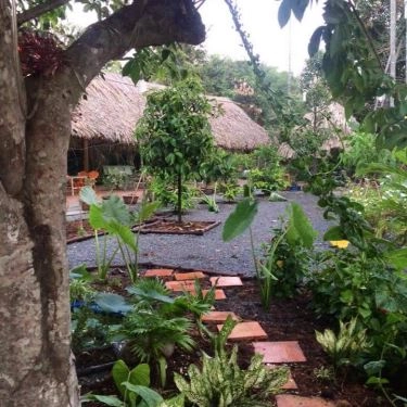 Tổng hợp- Vườn Măng - Quán Ăn Gia Đình