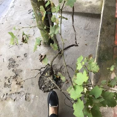 Tổng hợp- Nhà Hàng Vườn Sinh Thái Xẻo Nhum