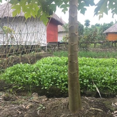 Tổng hợp- Nhà Hàng Vườn Sinh Thái Xẻo Nhum