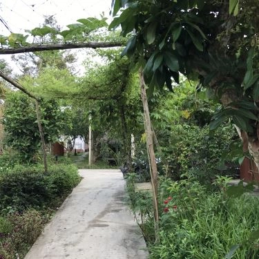 Tổng hợp- Nhà Hàng Vườn Sinh Thái Xẻo Nhum