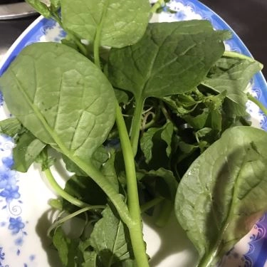 Tổng hợp- Vườn Tre - Quan Ăn Gia Đình