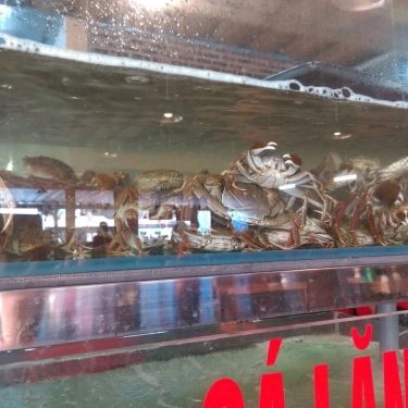 Tổng hợp- Quán Ăn Vườn Xoài - Ẩm Thực Vùng Miền