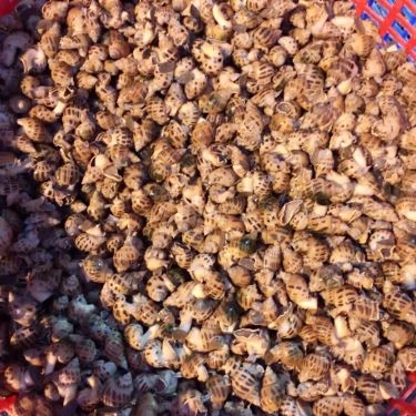 Tổng hợp- Quán Ăn Xí Ngầu Quán - Lẩu & Hải Sản Nướng